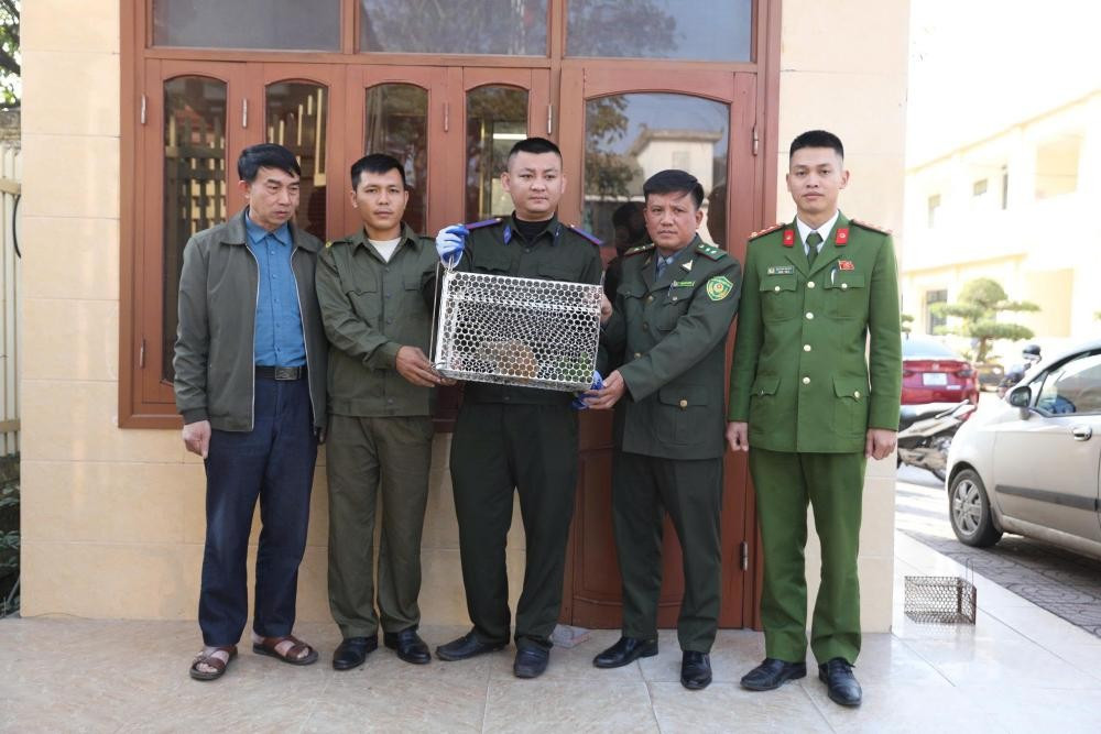 C&aacute; thể culi được ng&agrave;nh chức năng tiếp nhận để thả về m&ocirc;i trường tự nhi&ecirc;n