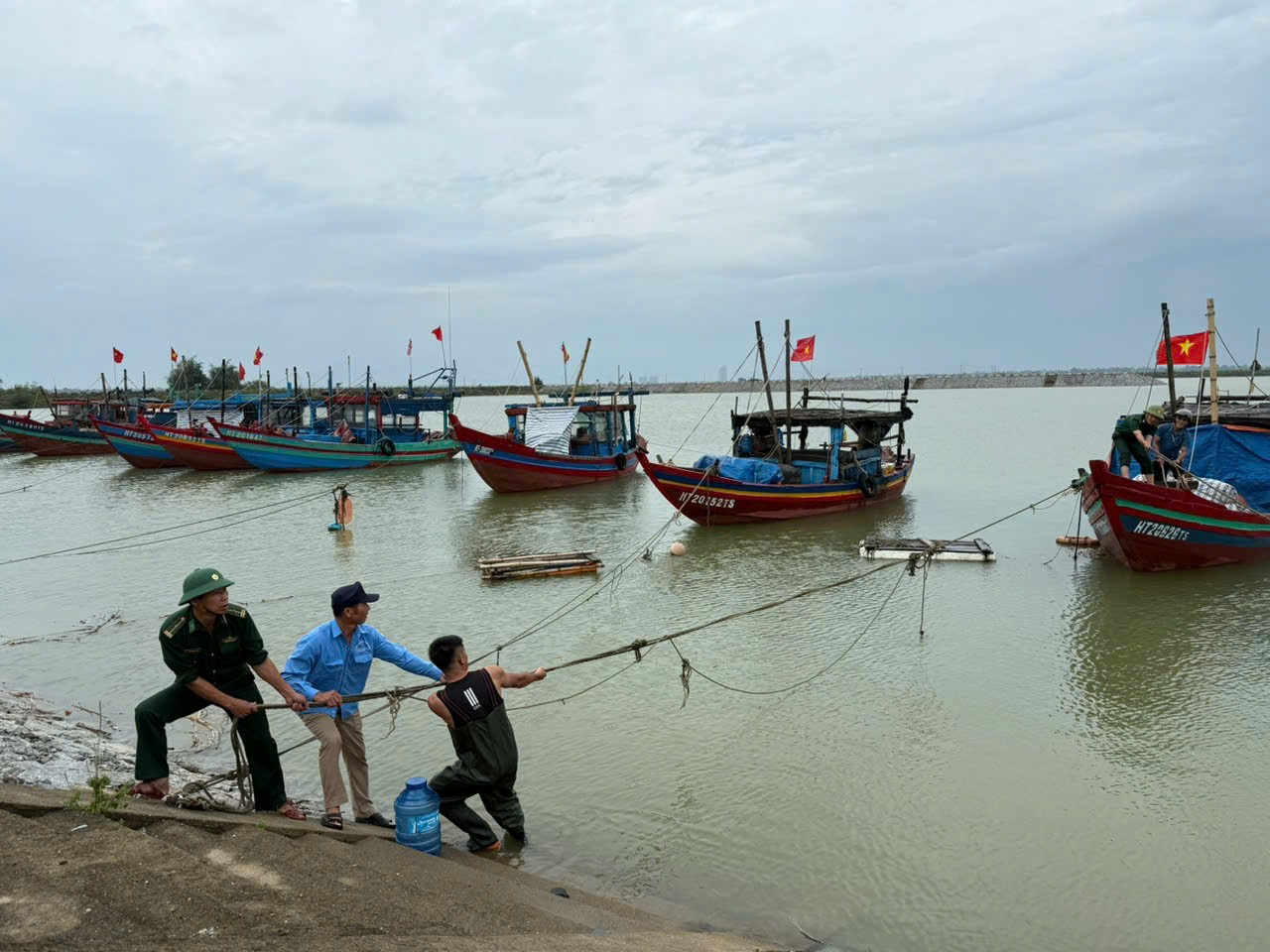 8ce199d69a9313cd4a82.jpg