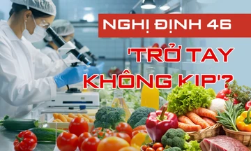 Hoả tốc đề nghị 3 bộ gỡ vướng hơn nghìn container nông sản ùn tắc