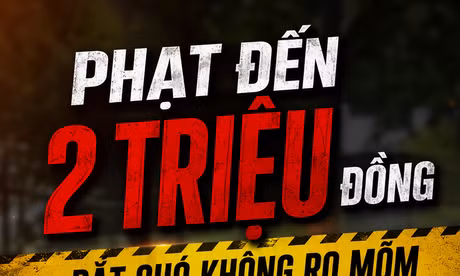 TP NOW: Từ hôm nay, dắt chó không đeo rọ mõm ra đường sẽ bị phạt 2 triệu đồng
