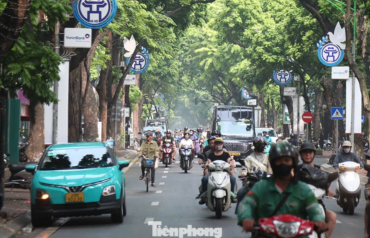 Hà Nội và TP.HCM đẩy mạnh lộ trình chuyển đổi taxi xanh, học hỏi kinh nghiệm quốc tế