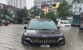 Kinh nghiệm tốc độ và giải pháp hợp lý là chìa khóa 