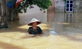 Bộ Y tế hướng dẫn người dân vùng lũ cách vệ sinh nguồn nước, phòng dịch bệnh