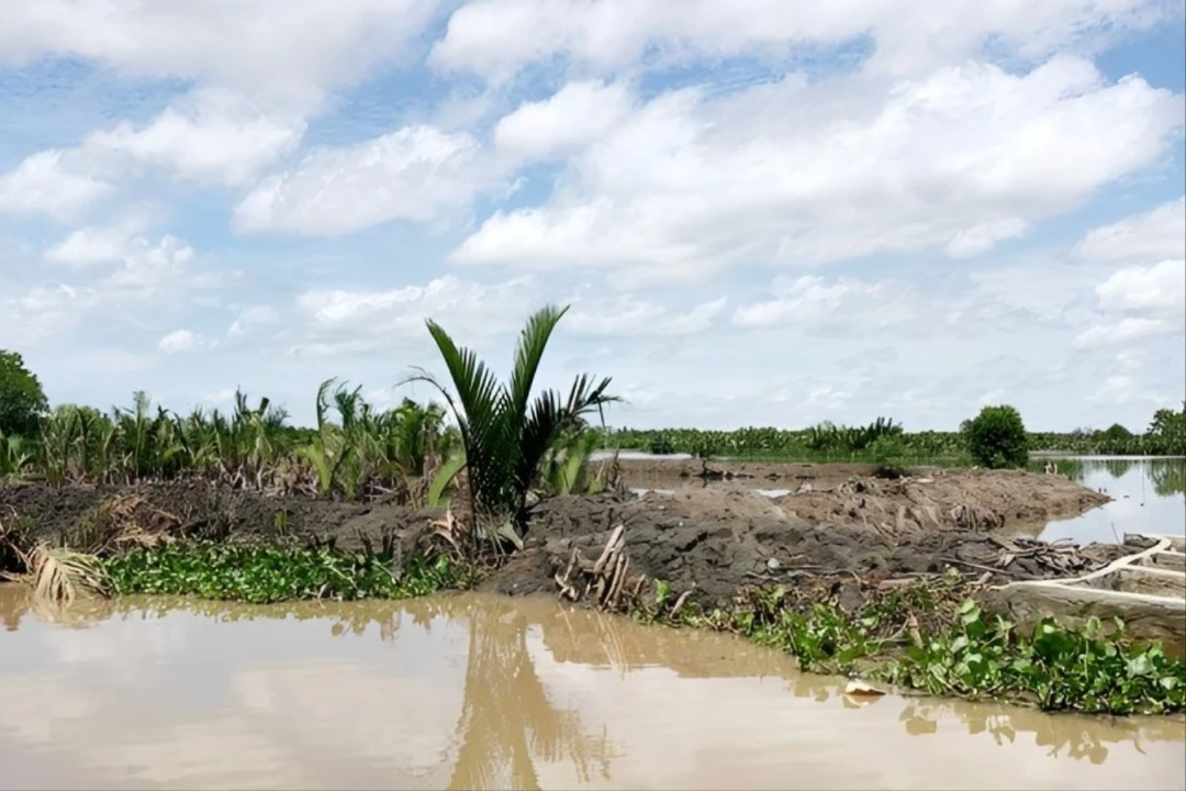 An Giang Cưỡng Chế Thu Hồi Hàng Trăm Ngàn Mét Vuông Đất Công Bị Lấn Chiếm Trái Phép