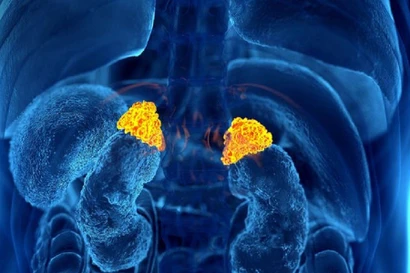 Cảnh báo hiểm họa từ loại thuốc 'uống vào là đỡ' khi đau nhức