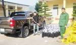 Bắt giữ hàng loạt vụ vận chuyển khí cười tại khu vực biên giới Quảng Ninh