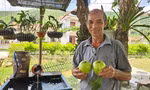Từ vườn ổi đến 'đại sứ' xóa đói giảm nghèo