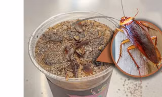 Cà phê gián gây sốc ở Trung Quốc