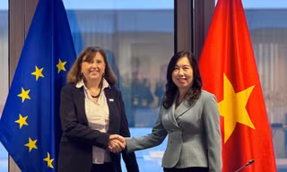 EU kêu gọi hỗ trợ Việt Nam khắc phục hậu quả bão lũ