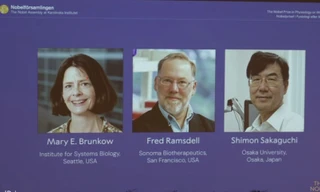 Ba chuyên gia miễn dịch ẵm giải Nobel Y học 2025