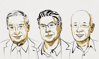 Giải Nobel Kinh tế thuộc về 3 tác giả của thuyết ‘hủy diệt sáng tạo’