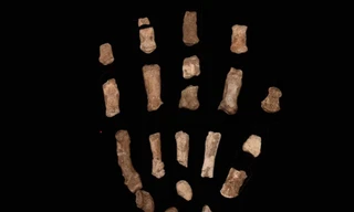 Đặc điểm gây bất ngờ trên bàn tay của người cổ