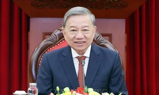 Việt Nam sẵn sàng làm những gì có thể để củng cố tình đoàn kết với Cuba