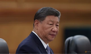 Lần đầu tiên Chủ tịch Trung Quốc thăm khu tự trị Tân Cương