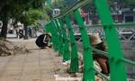 Hà Nội thay lan can sông Kim Ngưu, chỉnh trang sông nội đô trước đại lễ
