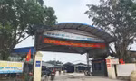 Hà Nội sẽ xử lý người đứng đầu đơn vị, địa phương để xảy ra thực phẩm 'bẩn'