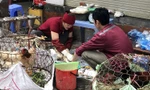 'Chốt hạn' xử lý dứt điểm hơn 700 cơ sở giết mổ gia súc tự phát tại Hà Nội