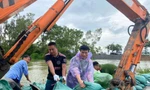 Hà Nội huy động hàng trăm người gia cố đê sông Tích