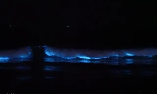 Các nạn nhân may mắn thoát khỏi đám cháy nhưng bị ngộ độc khí và chấn thương nặng