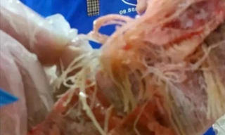 Nghi “hô biến” thịt hết hạn vào trường học: Lập đoàn kiểm tra khẩn