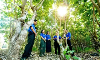 Tận thấy 'kho báu' hơn 3.800 gen cao su hiếm giữa lòng Đông Nam Bộ