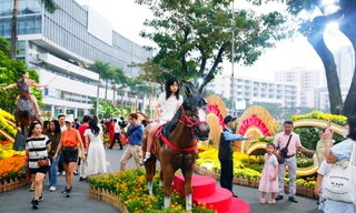 Khám phá đường hoa 'khu nhà giàu' ở TPHCM