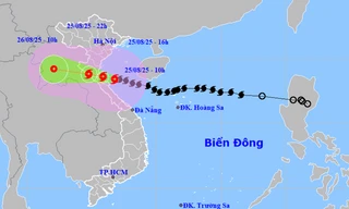 Bộ Văn hóa ra công điện về tập trung ứng phó khẩn cấp bão số 5