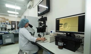 Đại học Quốc gia TPHCM chiêu mộ 20 nhà khoa học 'tinh hoa' làm giảng viên