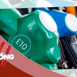 NHỊP SỐNG 24: Sớm triển khai lộ trình chuyển đổi sang xăng E10 từ 4/2026
