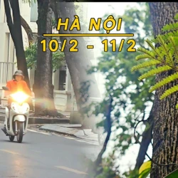 Hà Nội mưa rét, nhiệt thấp nhất 12 độ C