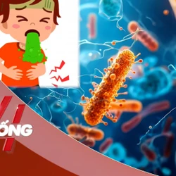 NHỊP SỐNG 24: Triệu chứng của chất Cereulide có trong các loại sữa bị NESTLÉ thu hồi