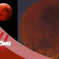 NHỊP SỐNG 24: Trăng máu xuất hiện tối 3-3, điều gì đang xảy ra trên bầu trời?