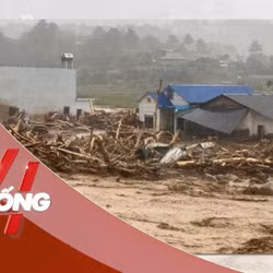 NHỊP SỐNG 24: Mưa lũ ở Bắc Bộ gây thiệt hại trên 502 tỷ đồng, 6 người tử vong