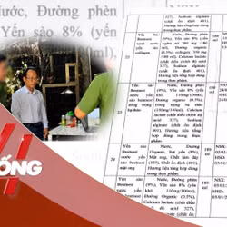 NHỊP SỐNG 24: Công bố 27 loại nước yến giả