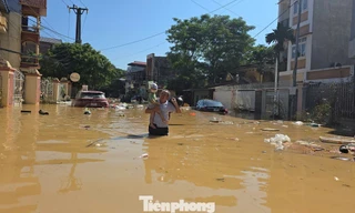  Quốc tế viện trợ hơn 240 tỷ đồng giúp Việt Nam khắc phục hậu quả mưa lũ 