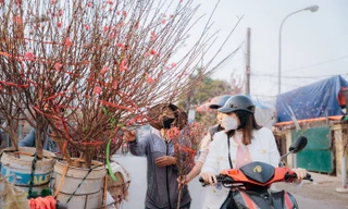 Miền Bắc nắng ấm trước khi chuyển mưa rét 