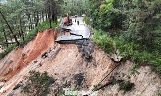 Khảo sát, đánh giá nguy cơ sạt lở đất ở Lâm Đồng