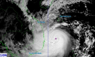 Bão Kalmaegi tiếp tục tăng cấp, ban bố rủi ro thiên tai cấp 4