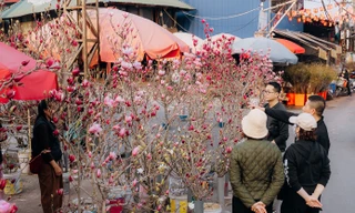 Miền Bắc 'nắng gắt' ngày 28 Tết