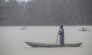 Việt Nam thúc đẩy hợp tác về môi trường, biến đổi khí hậu với Anh, Thuỵ Sỹ