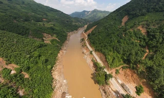 Việt Nam nhận gần 1900 tỷ đồng để phát triển rừng miền Bắc