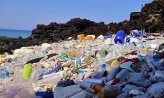 Phân loại rác mới dừng ở quy mô nhỏ, thí điểm