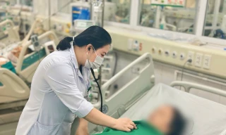 Nguy kịch vì uống nước sắc củ ấu tầu chữa đau khớp