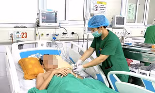 Vi khuẩn Whitmore 'ăn cơ thể' khiến nam bệnh nhân trẻ sốc nhiễm khuẩn, suy đa tạng