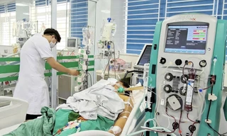 Nữ công nhân nguy kịch vì nghi nhiễm xoắn khuẩn Leptospira sau mưa lũ