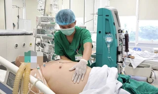 Cảnh báo từ ca bệnh sốt xuất huyết nguy kịch tại Hà Nội