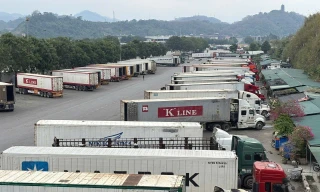 Bộ Y tế chính thức đề xuất tạm dừng Nghị định 46 và Nghị quyết 66.13/2026 của Chính phủ