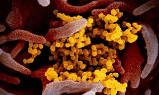 Bộ Y tế ra khuyến cáo về biến thể mới của SARS-CoV-2