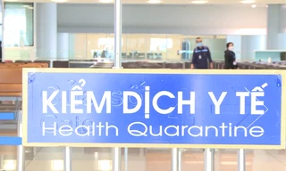 Bộ Y tế báo cáo Chính phủ về nguy cơ dịch do virus Nipah