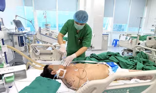 Nguy kịch vì vi khuẩn não mô cầu: Dễ nhầm lẫn với liên cầu khuẩn lợn